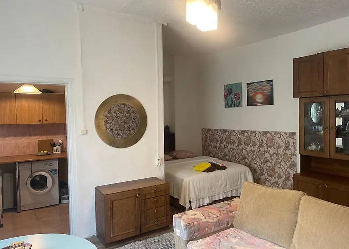 Frendlen Metsa Apartament *